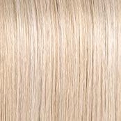 Wavy Day Wig by Raquel Welch | Synthetic Lace Front (Mono Top)