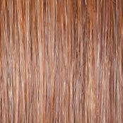 Wavy Day Wig by Raquel Welch | Synthetic Lace Front (Mono Top)