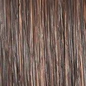 Wavy Day Wig by Raquel Welch | Synthetic Lace Front (Mono Top)