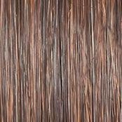 Wavy Day Wig by Raquel Welch | Synthetic Lace Front (Mono Top)