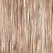 Wavy Day Wig by Raquel Welch | Synthetic Lace Front (Mono Top)