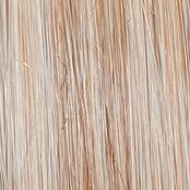 Wavy Day Wig by Raquel Welch | Synthetic Lace Front (Mono Top)