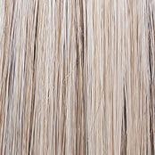 Wavy Day Wig by Raquel Welch | Synthetic Lace Front (Mono Top)